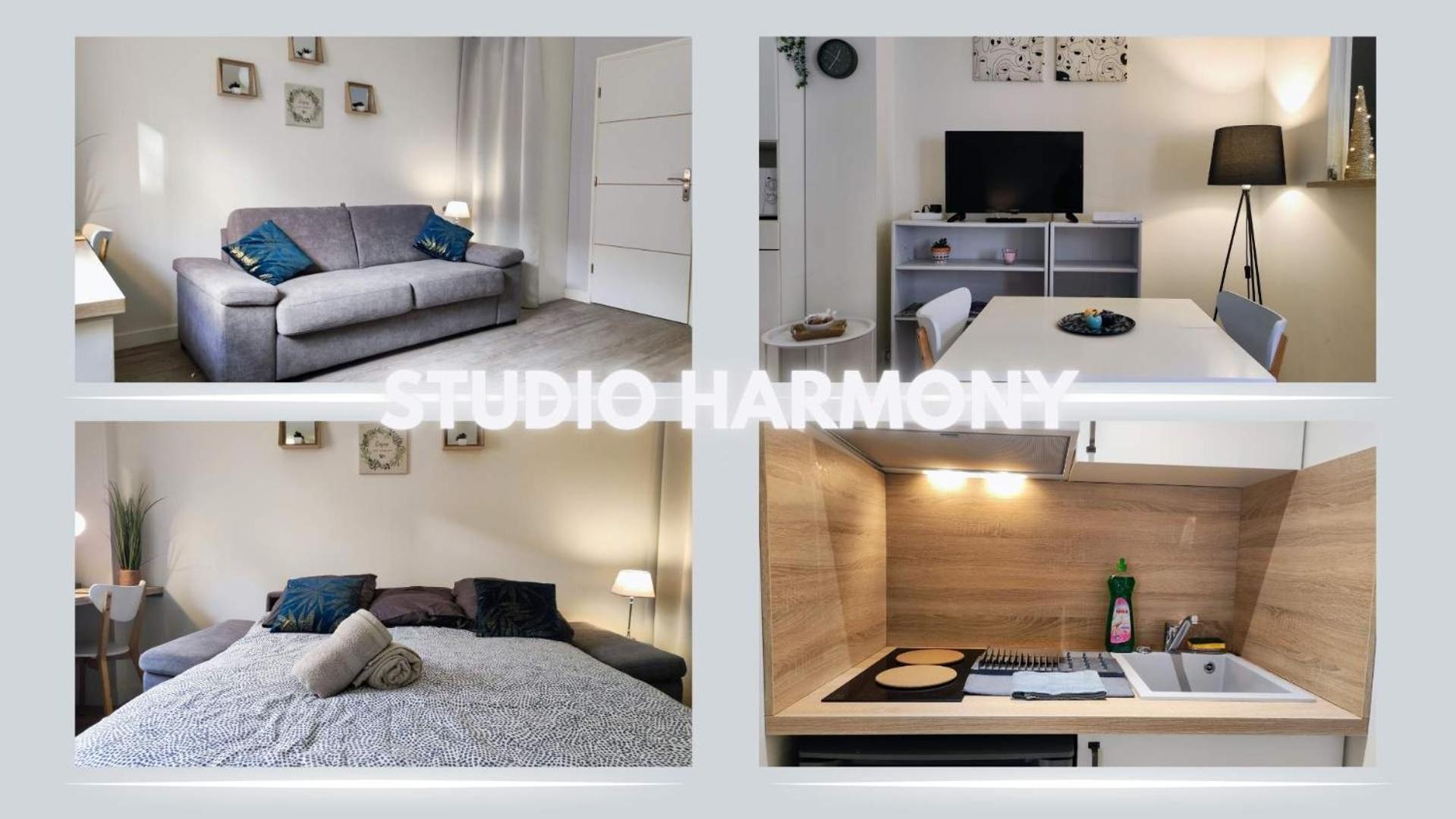 Studio Harmony - Zen Et Confort - Hypercentre Troyes Dış mekan fotoğraf